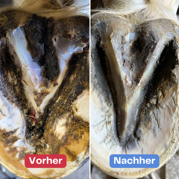 Strahlfoili – Bild 4